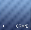 CRM/BI
